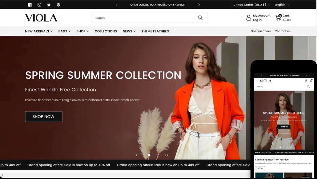 Preset Options of the Shopify theme Viola 1